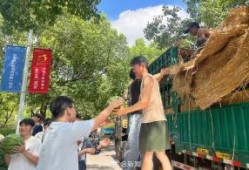 安徽学校吃瓜,揭秘校园里的那些“秘密”与趣闻