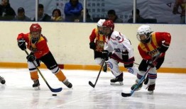 冰球比赛吃瓜,一场比赛背后的趣味瞬间