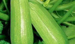 吃瓜629,一场网络热议背后的真相