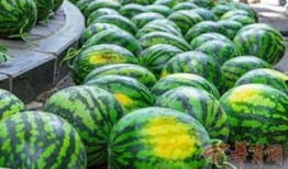 安徽学校吃瓜,揭秘校园里的那些“秘密”与趣闻