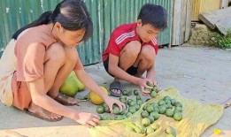 柚子吃瓜的视频,趣味横生，带你领略美食与娱乐的完美融合