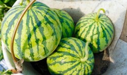 老仙头吃瓜,揭秘娱乐圈背后的秘密与真相