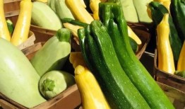 三峡吃瓜,吃瓜群众欢乐多