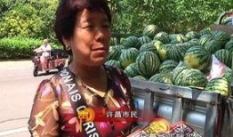 邹城吃瓜群众,吃瓜群众的热议焦点