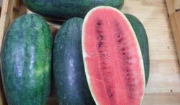 黑皮铁瓜怎样吃,解锁美味新体验