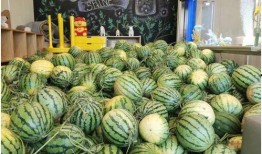 台北娜娜 今日吃瓜,今日吃瓜，揭秘娱乐圈最新热点