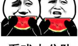 吃瓜表情包2025,趣味横生的网络文化现象解析