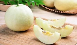 吃田瓜胀气吗,田瓜食用后是否会引发胀气现象解析