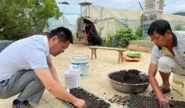 高岭吃瓜,揭秘娱乐圈背后的秘密与真相