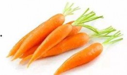 蓝澜视频吃瓜,揭秘娱乐圈吃瓜大事件