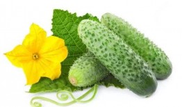 吃瓜系统姜默,揭秘吃瓜系统背后的神秘力量