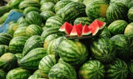 一周六可以吃八梭瓜吗,八梭瓜的饮食极限