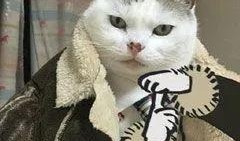 吃瓜群众不凑热闹图片,静享生活——吃瓜群众不凑热闹的智慧