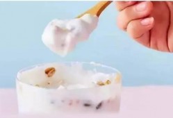 酸奶麻瓜如何加热吃,探索加热酸奶的独特风味