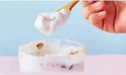 酸奶麻瓜如何加热吃,探索加热酸奶的独特风味