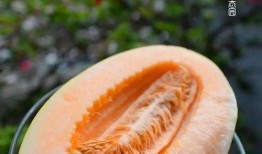 jinger 吃瓜,娱乐圈背后的那些事儿