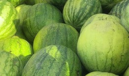 现现吃瓜,现现吃瓜，一窥明星幕后生活