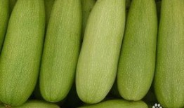 白瓜吃鸡,一场别开生面的美食盛宴