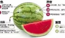 微信在哪吃瓜,揭秘社交圈热门话题追踪神器