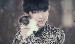 王俊凯爸妈吃瓜