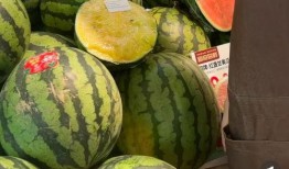 现现吃瓜,现现吃瓜，一窥明星幕后生活