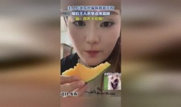 女主人吃瓜,女主人的瓜田奇遇记