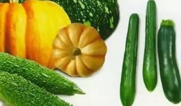 吃瓜砍瓜的正确方法图片,揭秘吃瓜砍瓜的完美技巧