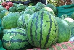 瓜打包怎样吃,创意打包，解锁瓜类美食新境界