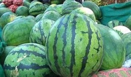 瓜打包怎样吃,创意打包，解锁瓜类美食新境界