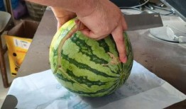 扬州吃瓜图片,一场视觉与味蕾的盛宴