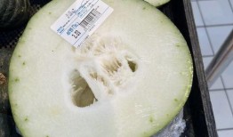 温州飞成都吃瓜,一场跨越千里的吃瓜之旅