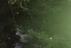 最美逆行者吃瓜,揭秘“吃瓜”背后的感人故事