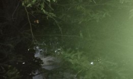 最美逆行者吃瓜,揭秘“吃瓜”背后的感人故事