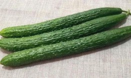 老仙头吃瓜,揭秘娱乐圈背后的秘密与真相