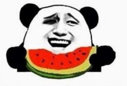 吃瓜盟主回放,一场娱乐盛宴的幕后故事