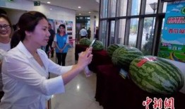 广宗吃瓜新闻,揭秘当地奇闻轶事，带你领略民间趣味