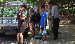 邹城吃瓜群众,吃瓜群众的热议焦点