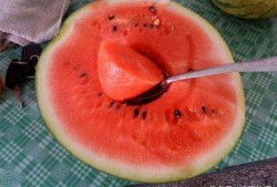 吃瓜日是什么,网络狂欢背后的文化现象