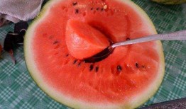 吃瓜日是什么,网络狂欢背后的文化现象