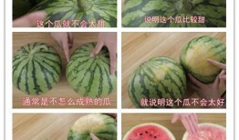 漂亮吃瓜,跟随“漂亮吃瓜”探寻美食与娱乐的完美融合