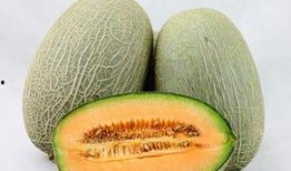 吃哈密瓜休克,揭秘吃哈密瓜休克之谜