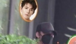 视频吃瓜字幕,一场娱乐盛宴背后的真相