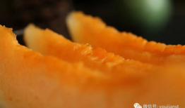 吃瓜日照,探寻吃瓜者的日照之旅