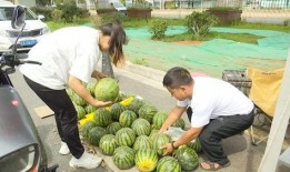 吃瓜15个视频,娱乐圈幕后故事大揭秘