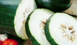 痛风可以吃方瓜吗,方瓜成为饮食新选择