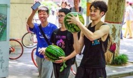 安徽学校吃瓜,揭秘校园里的那些“秘密”与趣闻